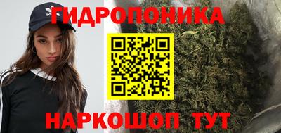 стафф Рыбинск