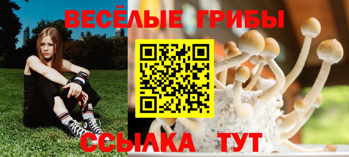 Муравленко  купить наркоту  Галлюциногенные грибы GOLDEN TEACHER  Вход с VPN  Галлюциногенные грибы Psilocybine cubensis 
